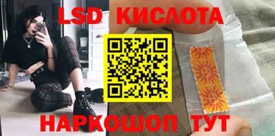 шишки Можга