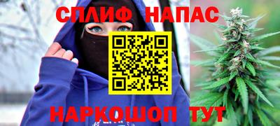 шишки Можга