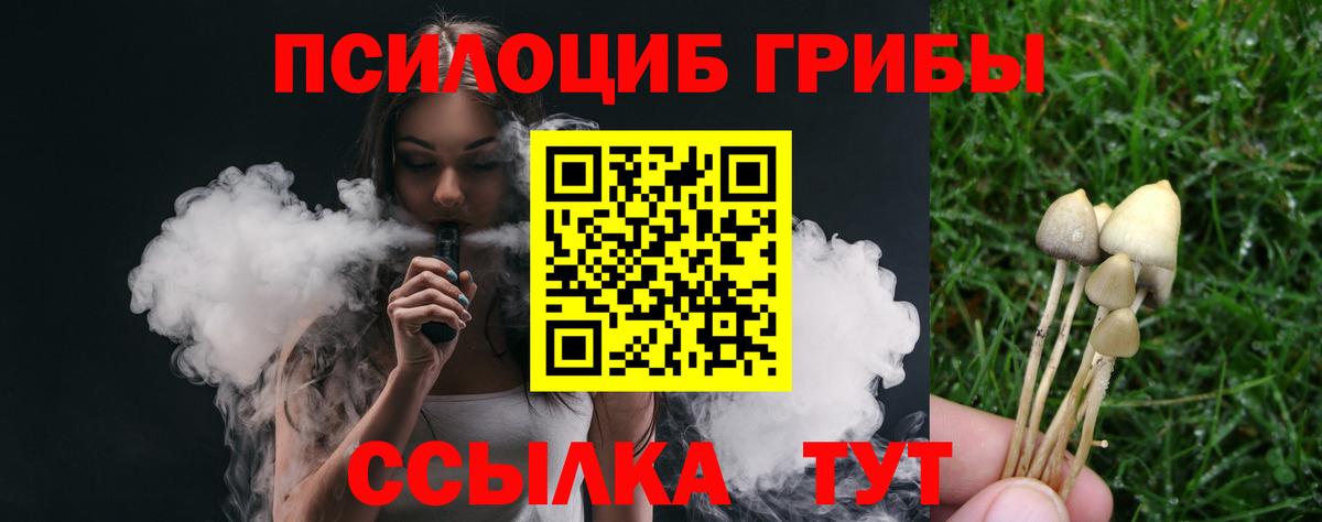 Галлюциногенные грибы Psilocybine cubensis  Вход с VPN  купить наркотик  Дедовск 
